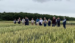 AHDB Recommended List Open Day Newmarket